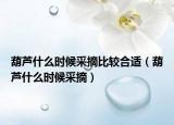 葫芦什么时候采摘比较合适（葫芦什么时候采摘）