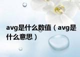 avg是什么数值（avg是什么意思）