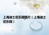 上海迪士尼乐园图片（上海迪士尼乐园）