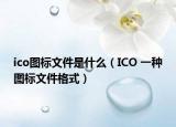 ico图标文件是什么（ICO 一种图标文件格式）