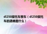 dl250摩托车整车（dl250摩托车的通病是什么）