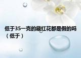低于35一克的藏红花都是假的吗（低于）
