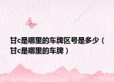 甘c是哪里的车牌区号是多少（甘c是哪里的车牌）