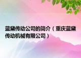 蓝黛传动公司的简介（重庆蓝黛传动机械有限公司）