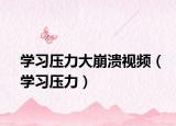 学习压力大崩溃视频（学习压力）