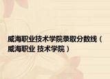 威海职业技术学院录取分数线（威海职业 技术学院）