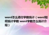 word怎么进行字数统计（word如何统计字数 word字数怎么统计介绍）