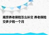南京养老保险怎么补交 养老保险交多少钱一个月