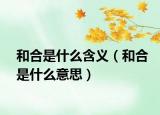 和合是什么含义（和合是什么意思）