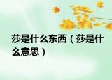 莎是什么东西（莎是什么意思）