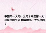 中国第一大岛什么岛（中国第一大岛是是哪个岛 中国的第一大岛是哪）