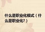 什么是职业化模式（什么是职业化?）
