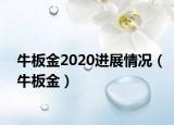 牛板金2020进展情况（牛板金）