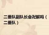 二番队副队长会卍解吗（二番队）