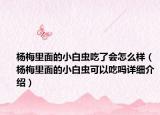 杨梅里面的小白虫吃了会怎么样（杨梅里面的小白虫可以吃吗详细介绍）