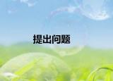 提出问题