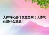 人体气化是什么意思啊（人体气化是什么意思）