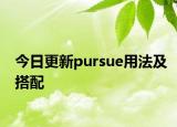 今日更新pursue用法及搭配