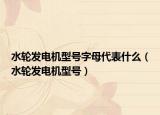 水轮发电机型号字母代表什么（水轮发电机型号）
