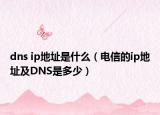 dns ip地址是什么（电信的ip地址及DNS是多少）