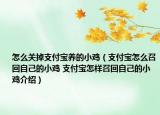 怎么关掉支付宝养的小鸡（支付宝怎么召回自己的小鸡 支付宝怎样召回自己的小鸡介绍）