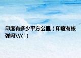 印度有多少平方公里（印度有核弹吗\