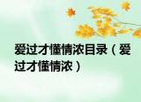 爱过才懂情浓目录（爱过才懂情浓）