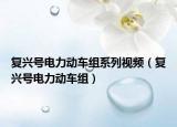 复兴号电力动车组系列视频（复兴号电力动车组）