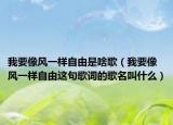 我要像风一样自由是啥歌（我要像风一样自由这句歌词的歌名叫什么）