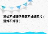 游戏不好玩还是酒不好喝图片（游戏不好玩）