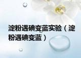 淀粉遇碘变蓝实验（淀粉遇碘变蓝）