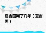 夏吉国判了几年（夏吉国）