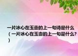 一片冰心在玉壶的上一句诗是什么（一片冰心在玉壶的上一句是什么?）