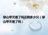 穿山甲灭绝了吗还剩多少只（穿山甲灭绝了吗）