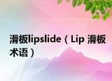 滑板lipslide（Lip 滑板术语）