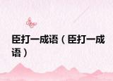臣打一成语（臣打一成语）