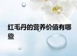 红毛丹的营养价值有哪些