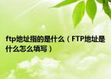 ftp地址指的是什么（FTP地址是什么怎么填写）