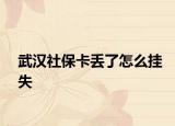 武汉社保卡丢了怎么挂失