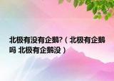 北极有没有企鹅?（北极有企鹅吗 北极有企鹅没）