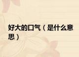 好大的口气（是什么意思）