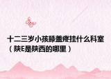 十二三岁小孩膝盖疼挂什么科室（陕E是陕西的哪里）