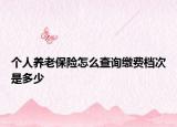 个人养老保险怎么查询缴费档次是多少