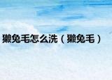 獭兔毛怎么洗（獭兔毛）