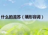 什么的流苏（填形容词）