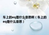 车上的eq是什么意思啊（车上的eq是什么意思）