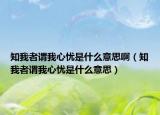 知我者谓我心忧是什么意思啊（知我者谓我心忧是什么意思）
