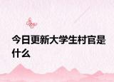今日更新大学生村官是什么