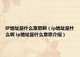 IP地址是什么意思啊（ip地址是什么啊 ip地址是什么意思介绍）