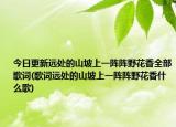 今日更新远处的山坡上一阵阵野花香全部歌词(歌词远处的山坡上一阵阵野花香什么歌)